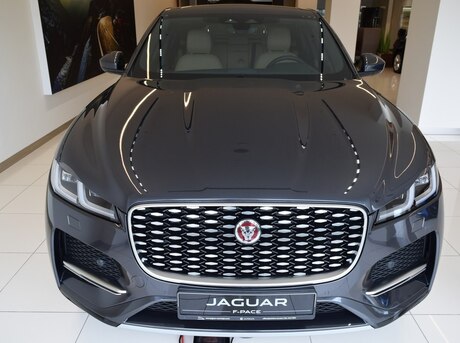 Jaguar  2022