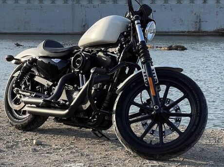 Harley-Davidson  2019