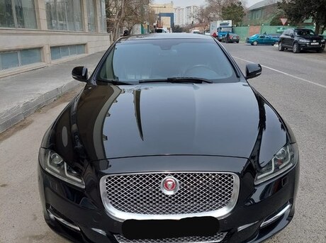 Jaguar  2015