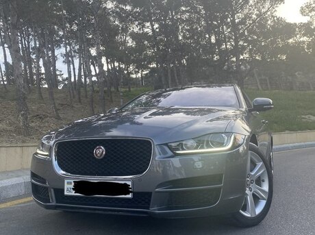 Jaguar  2018