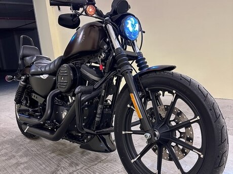 Harley-Davidson  2019