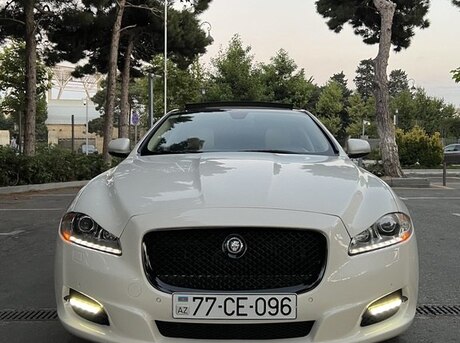 Jaguar  2011